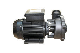  Waterway | Executive Euro Pump 3 HP, Dual Speed 150822-30